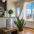 How Can I Improve Indoor Air Quality in My Denver Home?