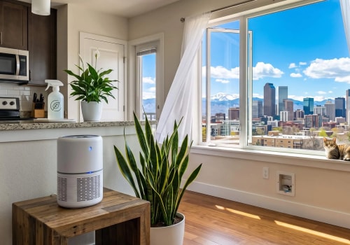 How Can I Improve Indoor Air Quality in My Denver Home?